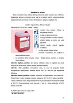 Prakses atskaite 'Ražošanas prakses atskaite', 42.