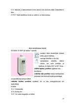 Prakses atskaite 'Ražošanas prakses atskaite', 45.