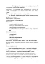 Konspekts 'Mikrouzņēmuma nodokļa ietekme uzņēmējdarbībā', 4.