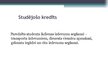 Prezentācija 'Kredītu būtība un to izplatība Daugavpils Universitātes studentu vidū', 13.