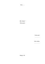 Biznesa plāns 'SMU "Meraki"', 1.