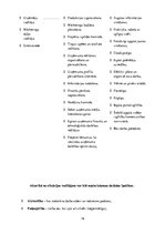 Biznesa plāns 'SMU "Meraki"', 16.