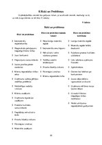 Biznesa plāns 'SMU "Meraki"', 20.