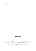 Biznesa plāns 'SMU "Meraki"', 21.