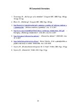 Biznesa plāns 'SMU "Meraki"', 23.