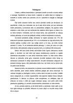 Referāts 'Papildus un blakus darbs', 24.