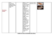 Konspekts 'Kulturoloģija', 5.