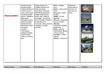 Konspekts 'Kulturoloģija', 11.