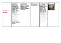 Konspekts 'Kulturoloģija', 14.