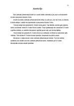 Referāts 'Rihards Dubra, dzīve un daiļrade', 31.