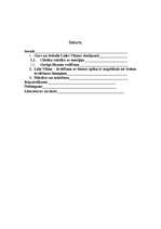 Konspekts 'Gars un dvēsele Lūles Vilmas skatījumā', 1.