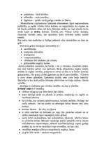 Konspekts 'Gars un dvēsele Lūles Vilmas skatījumā', 4.