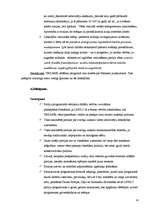 Referāts 'Jauno labējo partiju ideoloģijas attīstība un pamatelementi', 14.