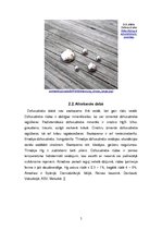 Referāts 'Dzīvsudrabs', 5.