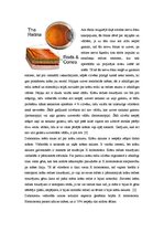 Referāts 'Daltonisms', 3.