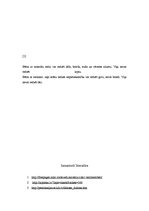 Referāts 'Daltonisms', 6.