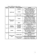 Biznesa plāns 'Biznesa plāns', 8.