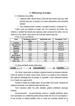 Biznesa plāns 'Biznesa plāns', 12.