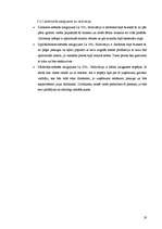 Biznesa plāns 'Biznesa plāns', 19.