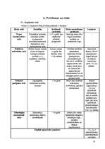 Biznesa plāns 'Biznesa plāns', 20.