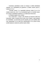 Biznesa plāns 'Biznesa plāns', 21.