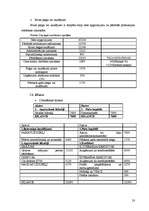 Biznesa plāns 'Biznesa plāns', 23.