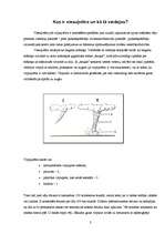 Referāts 'Viesuļvētras', 3.