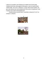 Referāts 'Viesuļvētras', 10.