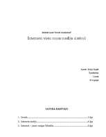Referāts 'Interneta vieta masu mediju sistēmā', 11.