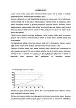 Referāts 'Interneta vieta masu mediju sistēmā', 13.