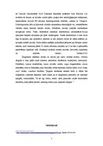 Referāts 'Latviešu valodas lietojums jauniešu vidū', 7.