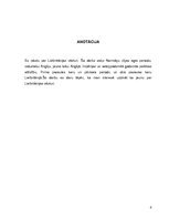 Referāts 'History of Great Britain', 4.