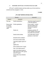 Prakses atskaite 'Pirmā prakse uzņēmumā "PF Latvijā"', 13.