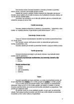 Konspekts 'Georgs Zimmels', 4.