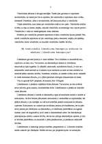 Konspekts 'Vienlīdzības un brīvības principi demokrātijā', 3.