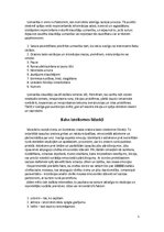 Referāts 'Publiskā uzstāšanās', 5.