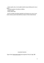 Referāts 'Publiskā uzstāšanās', 9.