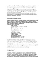 Konspekts 'Ēdināšanas uzņēmumu piedāvājums', 3.