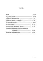 Referāts 'Īpašuma iegūšana ar piegūšanu', 2.