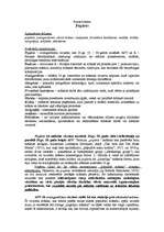 Konspekts 'Popārts', 1.