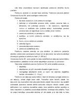 Referāts 'Adopcija', 21.