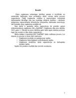 Referāts 'Darba vadīšana', 3.