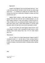 Referāts 'Volands un viņa svīta: tēlu avoti, filosofija un funkcijas', 7.