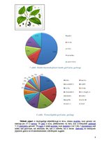 Referāts 'Garšvielas un garšaugi', 6.