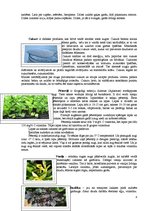 Referāts 'Garšvielas un garšaugi', 8.