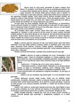 Referāts 'Garšvielas un garšaugi', 11.