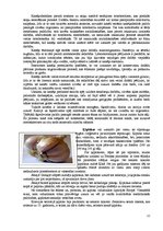 Referāts 'Garšvielas un garšaugi', 12.