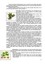 Referāts 'Garšvielas un garšaugi', 13.