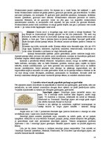 Referāts 'Garšvielas un garšaugi', 14.