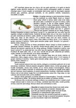 Referāts 'Garšvielas un garšaugi', 15.